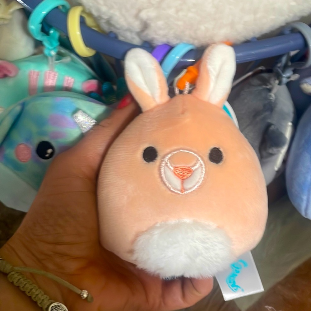 Quinn Squishmallow Clip